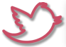 Follow us on Twitter!